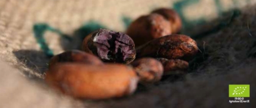 Onaturo Toucoco : un chocolat bio au sucre de coco