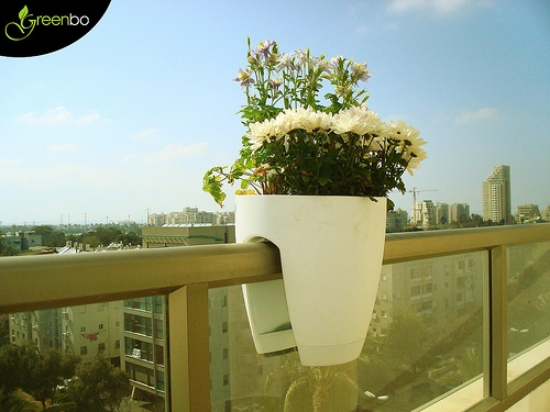 photo des pots selon Greenbo