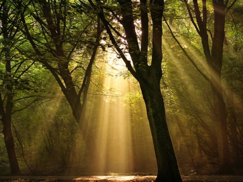 photo de Lars Van De Goor