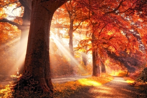 photo de Lars Van De Goor