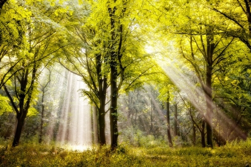 photo de Lars Van De Goor