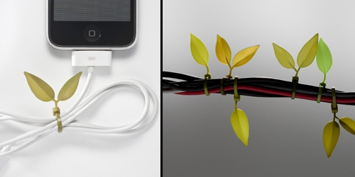 photos des Leaf tie