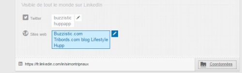 Personnaliser les liens blogs et sites web sur LinkedIn