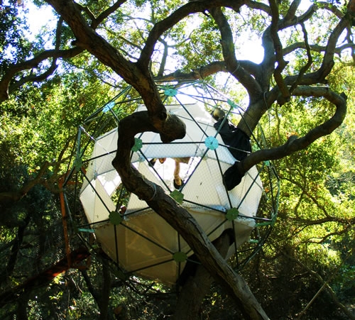 photo maison dans les arbres