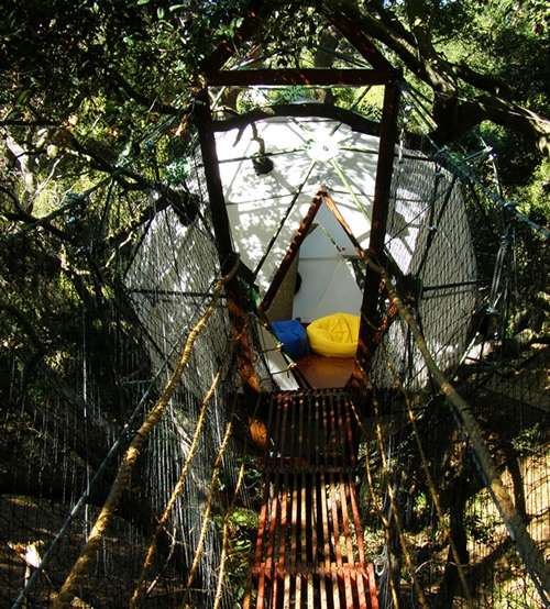 photo maison dans les arbres