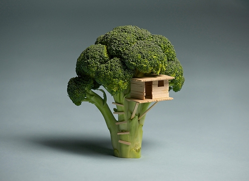 photo de la cabane perchée dans un brocoli
