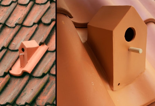 photo de la maison pour oiseaux