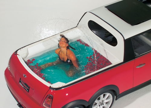 photo Mini Limousine