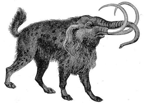 un monstre par Marie Planques