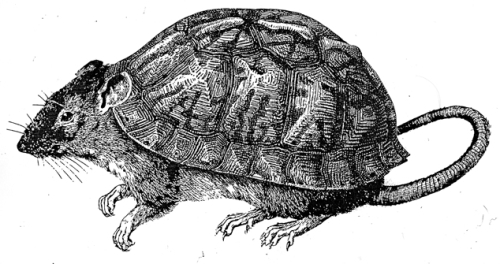 un monstre par Marie Planques
