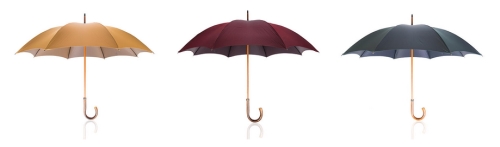 Photo des parapluies La pluie est Belge