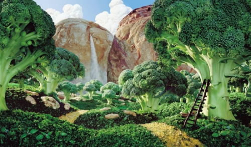 photo du paysage à manger