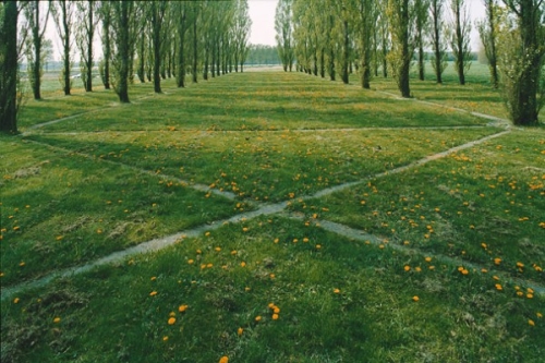 photo depuis la nef de la Groene Kathedraal de Marinus Boezem
