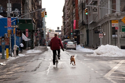 une photo issue de la série Downtown from Behind