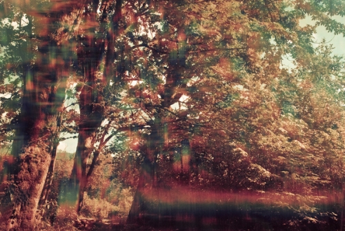 photo Shift