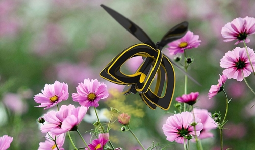 Photo des drones abeilles Plan Bee de Anna Haldewag