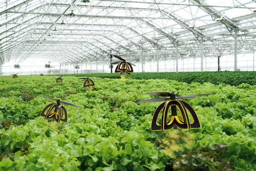 Photo des drones abeilles Plan Bee de Anna Haldewag