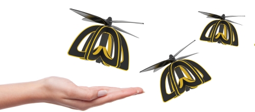 Photo des drones Plan Bee de Anna Haldewag