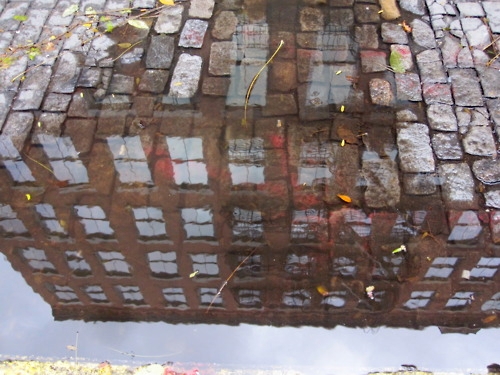 photo de flaques avec reflets à New York