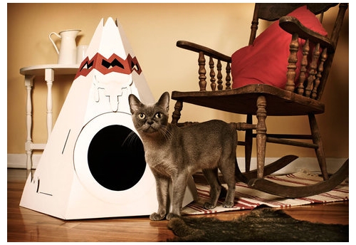 photo du tipi pour chats